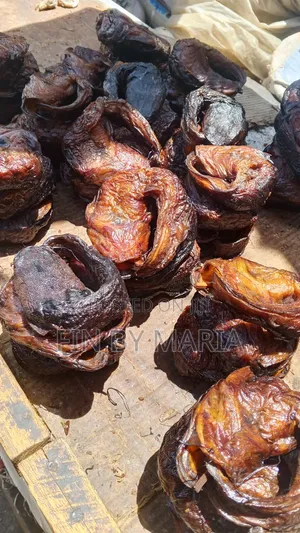 Freshly Dried Cat Fish