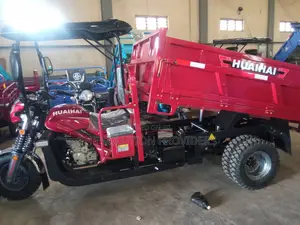 New Tricycle 2026