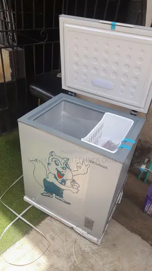 Skyrun BD-180AI Freezer for Home Business