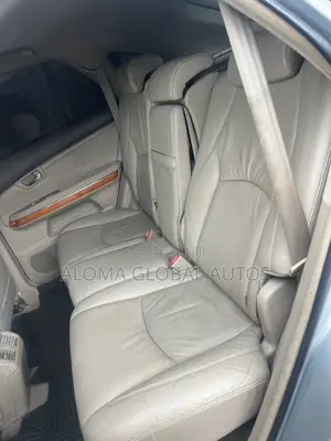 Lexus RX 330 2005 Gray