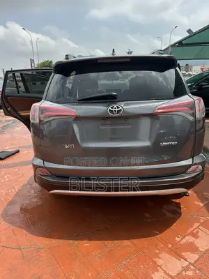 Toyota RAV4 2017 Gray