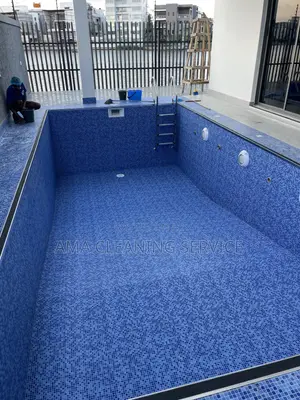 Detailed Swimming Pool Cleaning
