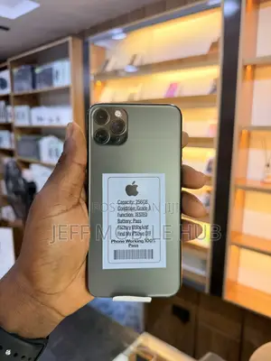 Apple iPhone 11 Pro Max 256 GB Gray