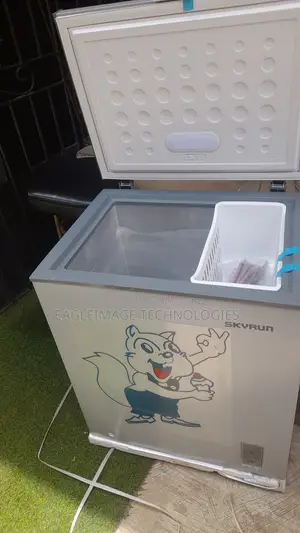 Skyrun BD-180AI Chest Freezer – New Unit