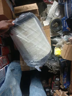Air Filter for Isuzu and China Trucks