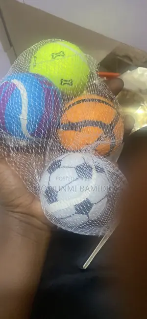 Pet Ball Toy