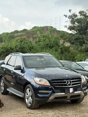 Mercedes-Benz M Class 2015 Blue