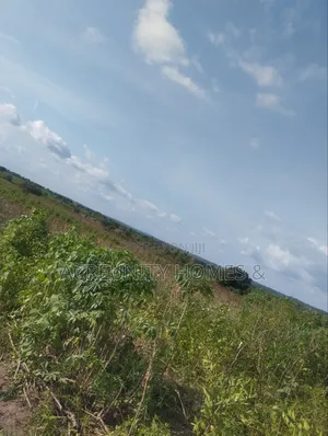 4000 Acres of Fertile Farmland for Sale at Iwere-Ile, Iwajowa LGA
