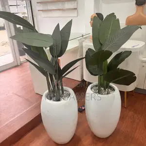 Indoor and Outdoor Flower Pot With Flowers