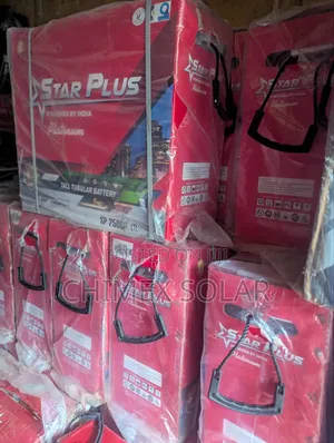 250Ah Star Plus Platinum Tubular Batteries