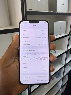 Apple iPhone 13 Pro Max 256 GB Gray