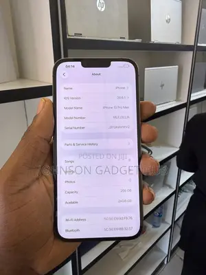 Apple iPhone 13 Pro Max 256 GB Gray