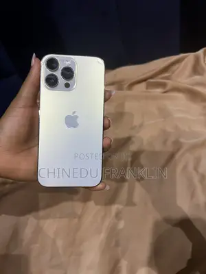 Apple iPhone 14 Pro Max 256 GB Silver