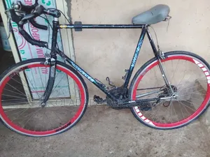 Sport Bicycle