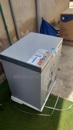 Heavy Duty Brand New Skyrun BD-180AI Chest Freezer