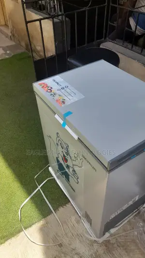 Steady Cooling Brand New Skyrun BD-180AI Freezer