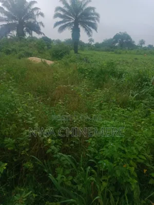 Half Plot of Land at Omagwa Buy and Build