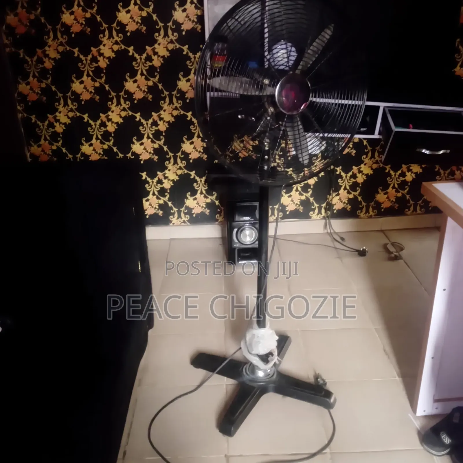 Standing Fan