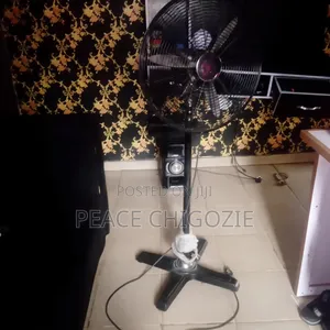 Standing Fan