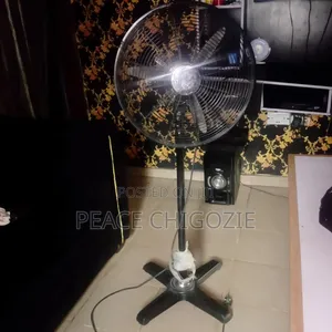 Standing Fan