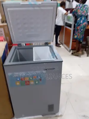 Skyrun 90L Deep Freezer – Practical Storage for Home Business