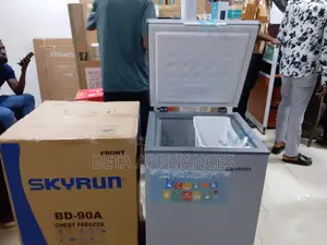 Skyrun 90L Chest Freezer – Optimized Frozen Food Storage