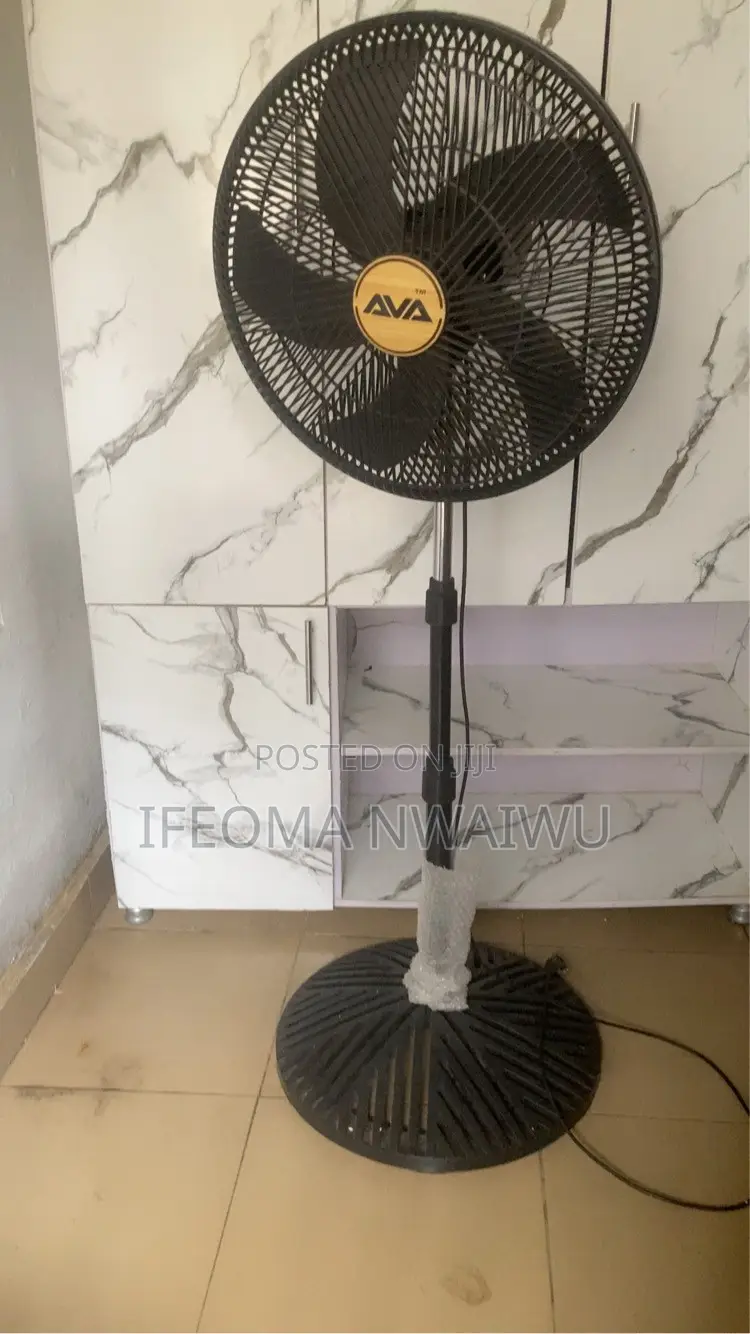 Wardrobe and Fan