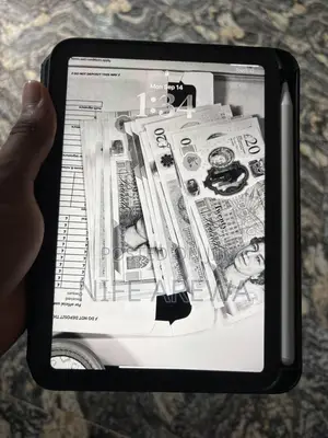 Apple iPad mini 6 64 GB Gray