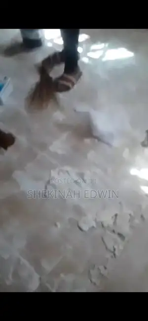 Cleaning’s