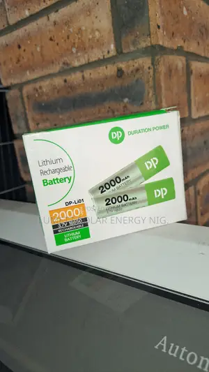 DP 2000mAh Rechargeable Lithium Battery for Portable Power