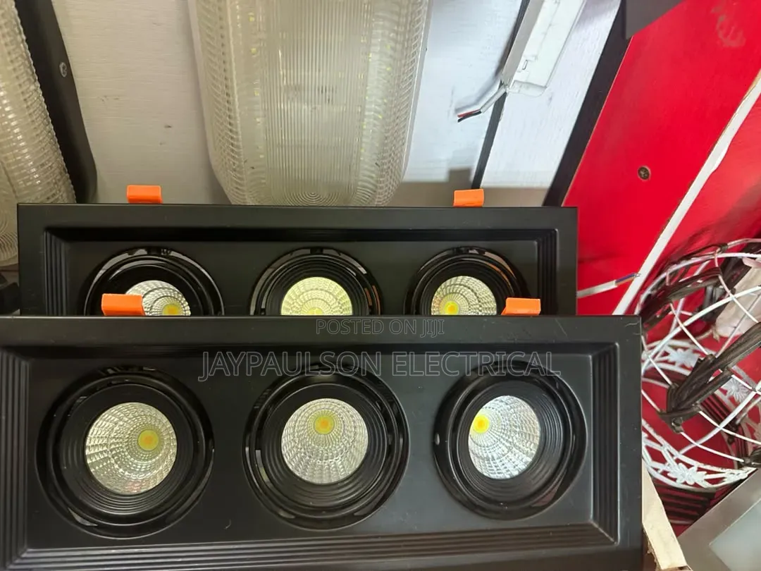 Triple-Head Recessed LED Downlight