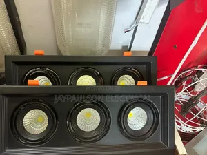 Triple-Head Recessed LED Downlight