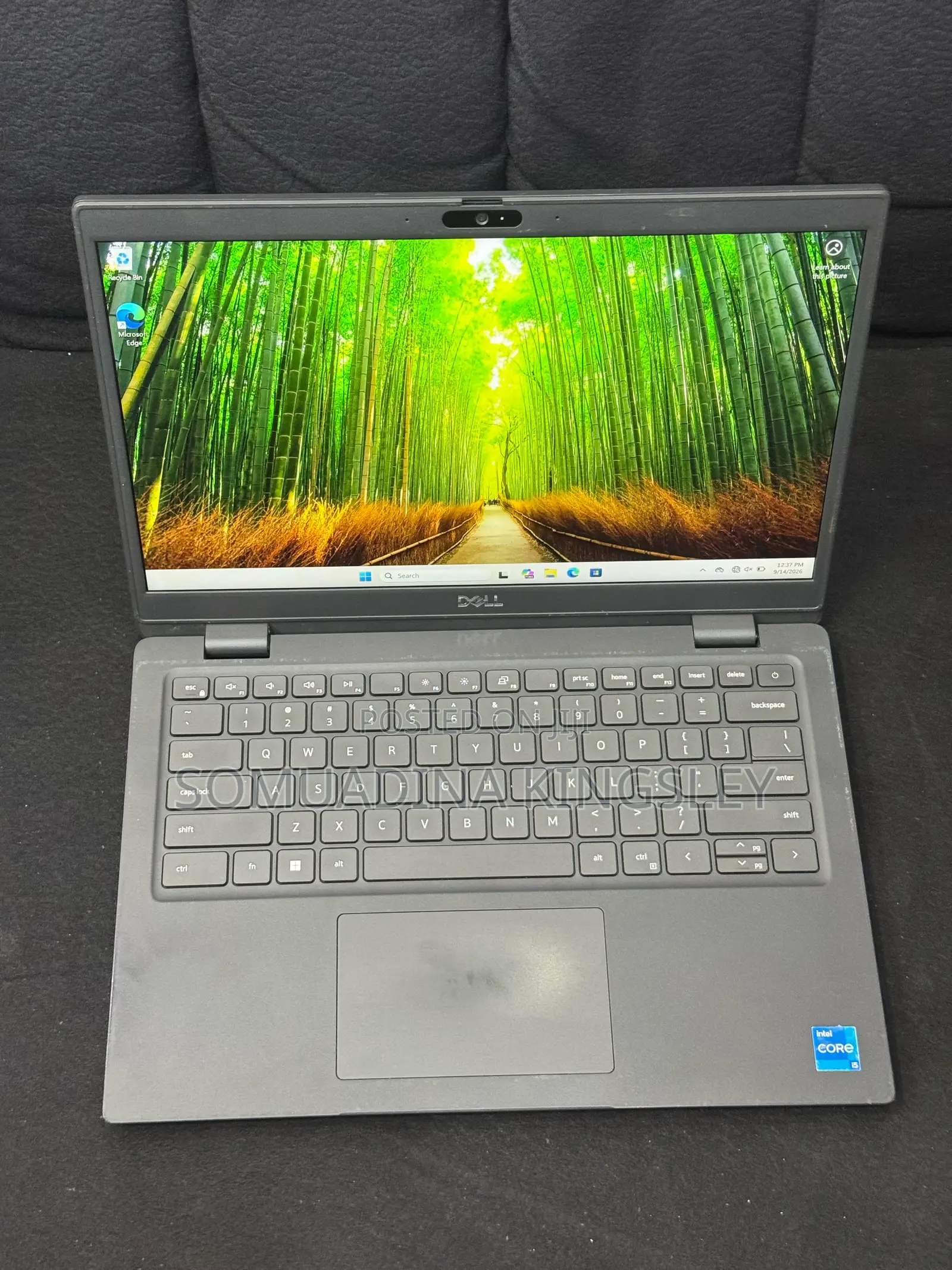 Laptop Dell Latitude 3420 8GB Intel Core i5 SSD 256GB
