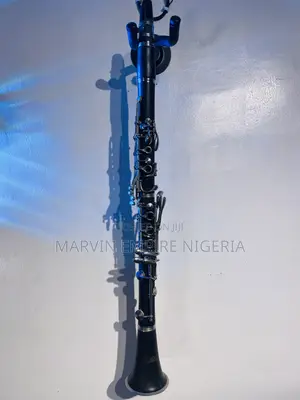 Rugged Branded Professional Clarinet