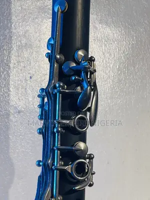 Rugged Branded Professional Clarinet