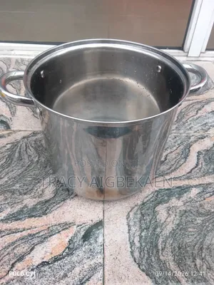 Stainless 7 Liters Pot