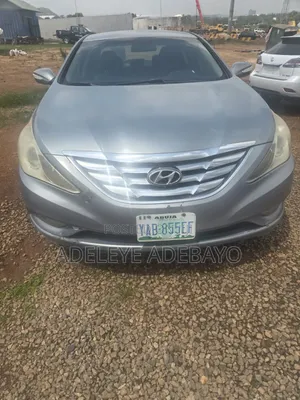 Hyundai Sonata GLS PZEV 2010 Silver