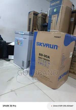 Skyrun BD-90A Chest Freezer – Everyday Freezing