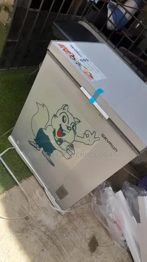Ideal Store Freezer: Brand New Skyrun BD-180AI