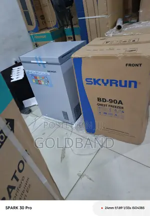 Skyrun BD-90A Deep Freezer – Built for Performance