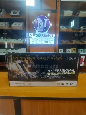 Professional Condenser Microphone