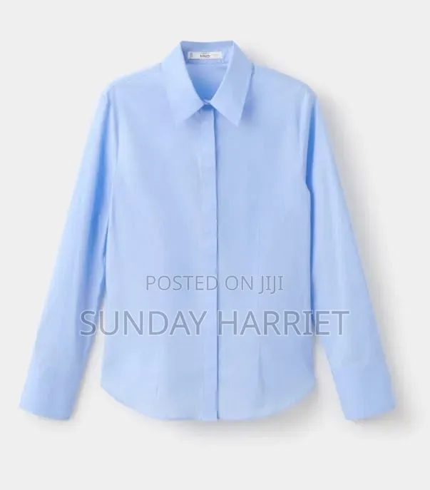 Plain Cooperate Shirts
