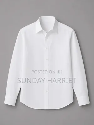 Plain Cooperate Shirts