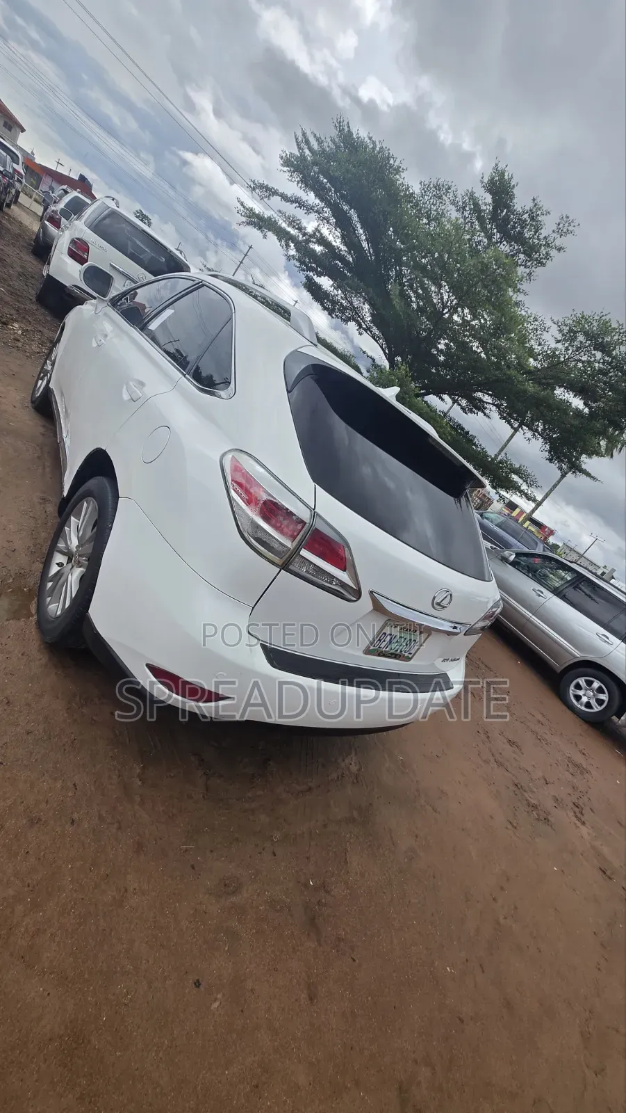 Lexus RX 2013 White