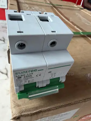 Suntree SCB8 125 Series 100A 2P AC Circuit Breaker