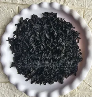 Bladderwrack Seaweed