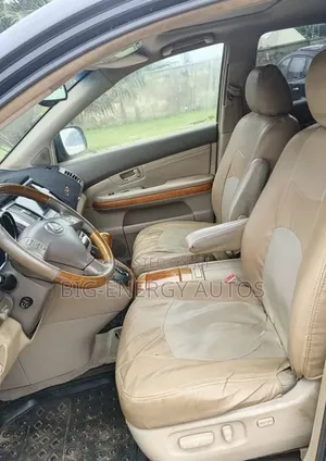 Lexus RX 2009 Black