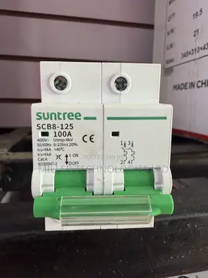 Suntree 100A 2-Pole AC Protection Breaker – SCB8-125