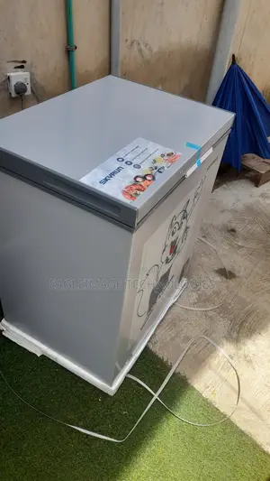 Brand New Skyrun BD-180AI Freezer for Business Owners