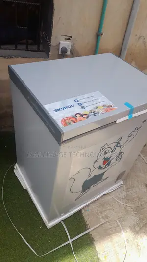 Business Starter Brand New Skyrun BD-180AI Chest Freezer